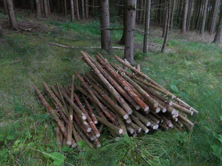 04_aufbau_Standort-01